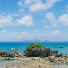 SUPパドルの種類と選び方！自分に最適なパドルを選ぶコツ